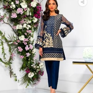 Pakistan/indian suit